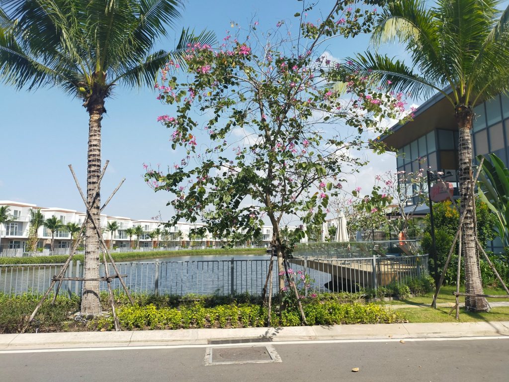 Cập Nhật Giá Bán Nhà Phố Vinhomes Cần Giờ, Vinhomes Hạ Long , Căn Hộ Vinhomes Grand Park, Vinhomes Long An, Vinhomes Hà Nội... - Cập nhật 24/7