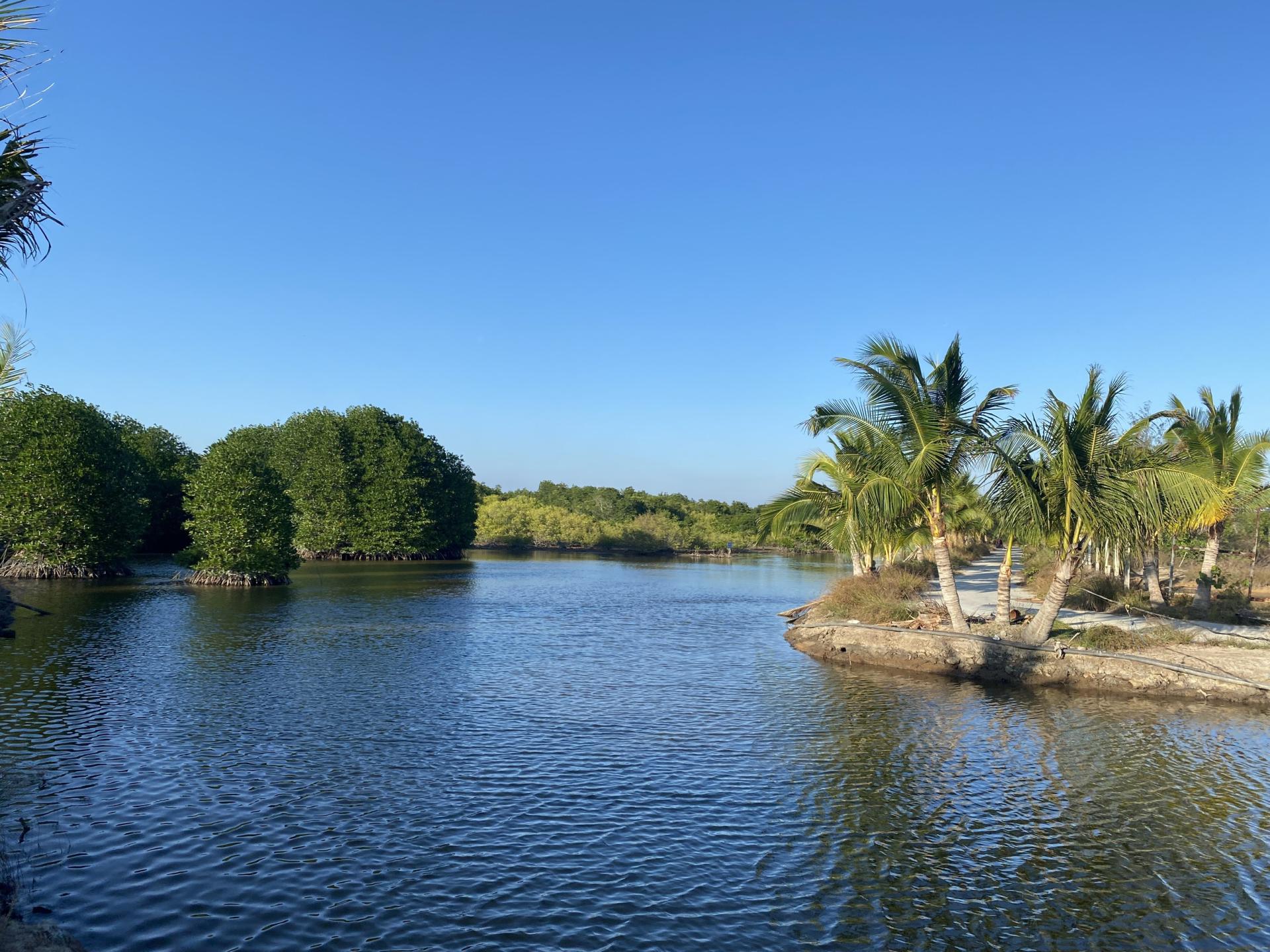 Cập Nhật Giá Bán Nhà Phố Vinhomes Cần Giờ, Vinhomes Hạ Long , Căn Hộ Vinhomes Grand Park, Vinhomes Long An, Vinhomes Hà Nội... - Cập nhật 24/7