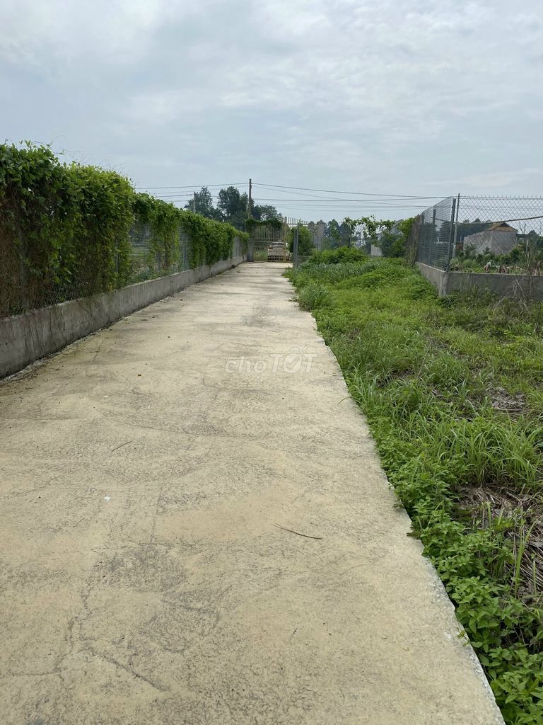 Cập Nhật Giá Bán Nhà Phố Vinhomes Cần Giờ, Vinhomes Hạ Long , Căn Hộ Vinhomes Grand Park, Vinhomes Long An, Vinhomes Hà Nội... - Cập nhật 24/7