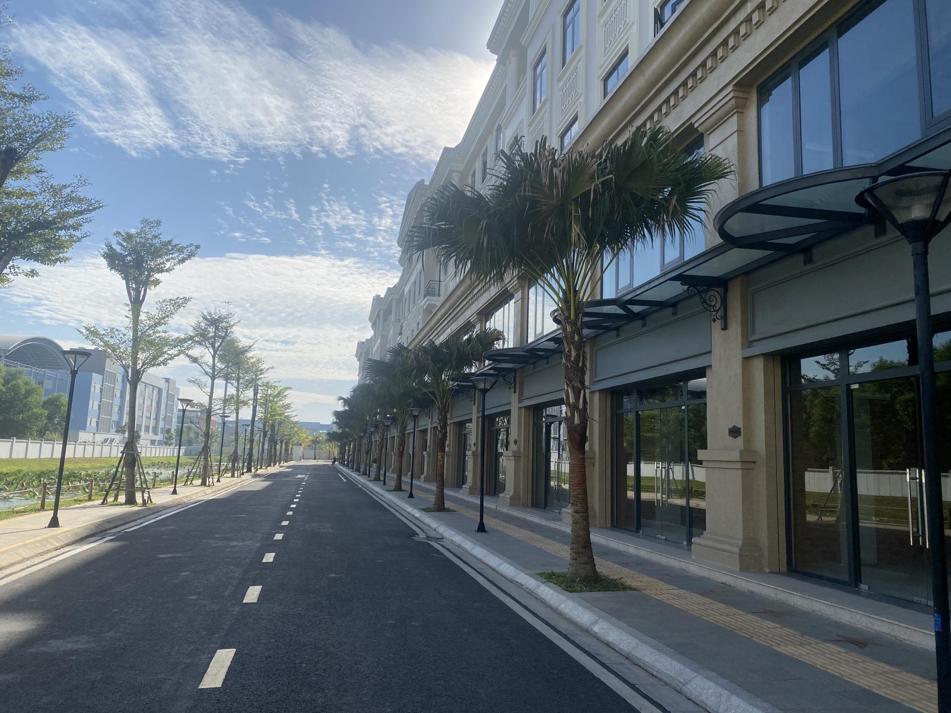 Cập Nhật Giá Bán Nhà Phố Vinhomes Cần Giờ, Vinhomes Hạ Long , Căn Hộ Vinhomes Grand Park, Vinhomes Long An, Vinhomes Hà Nội... - Cập nhật 24/7